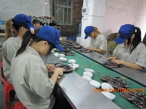 東莞安盈檢品工廠 專業為出口日本市場提供100%檢查服務、廠家直銷與價格優勢