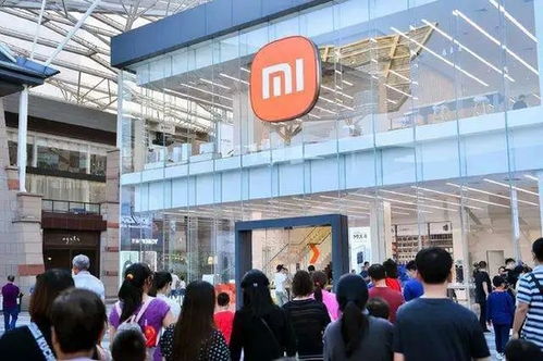 Q3小米未能逆天改命 代駕服務背后的深層思考